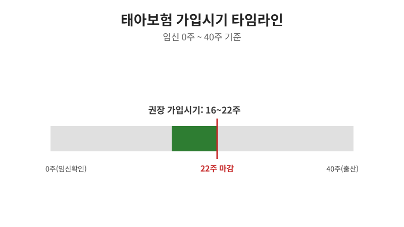태아보험 가입시기